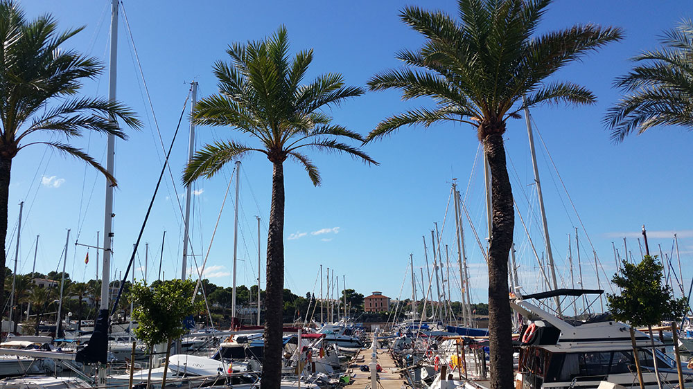 Photo #3 - Bavaria Cruiser 50 (Quantum) in El Arenal - 41156
