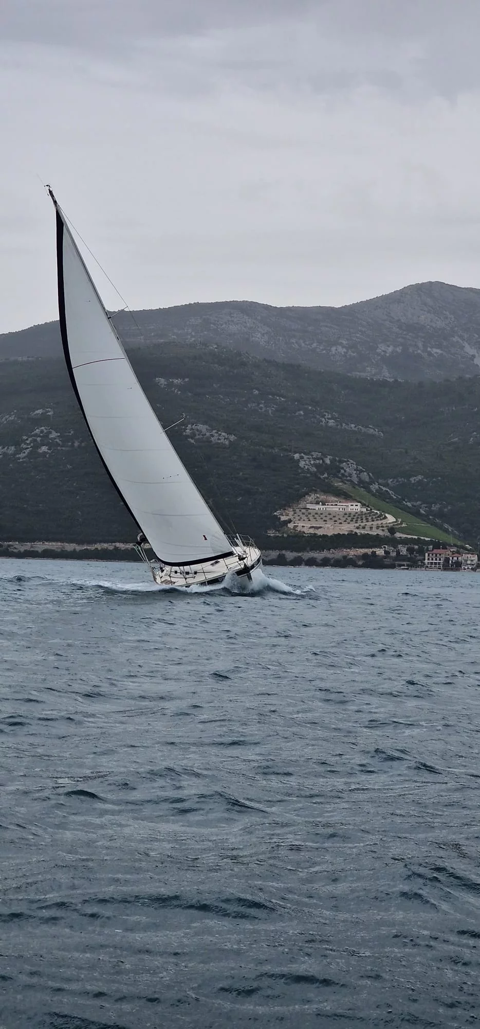 Elan 45 (Maslina)  - 3