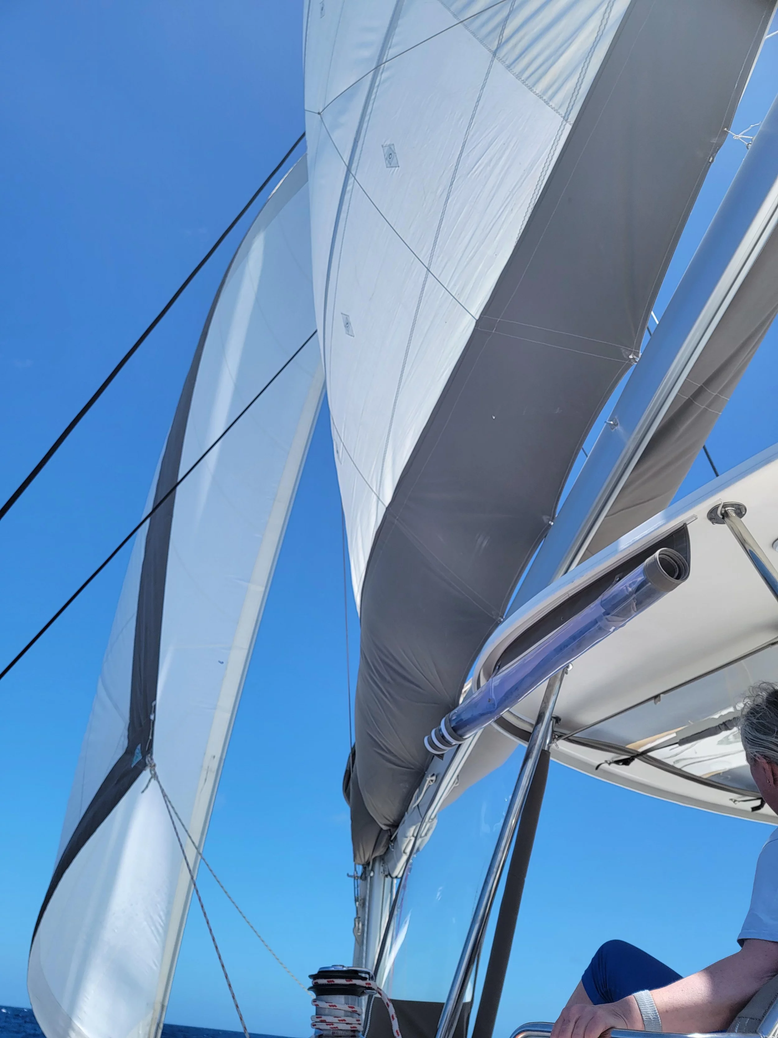 Fountaine Pajot Saba 50 Quintet - 5 + 1 cab. (Discover)  - 4