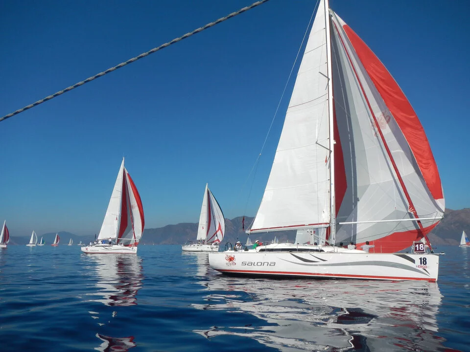 Salona 41 (White Butterfly)  - 2