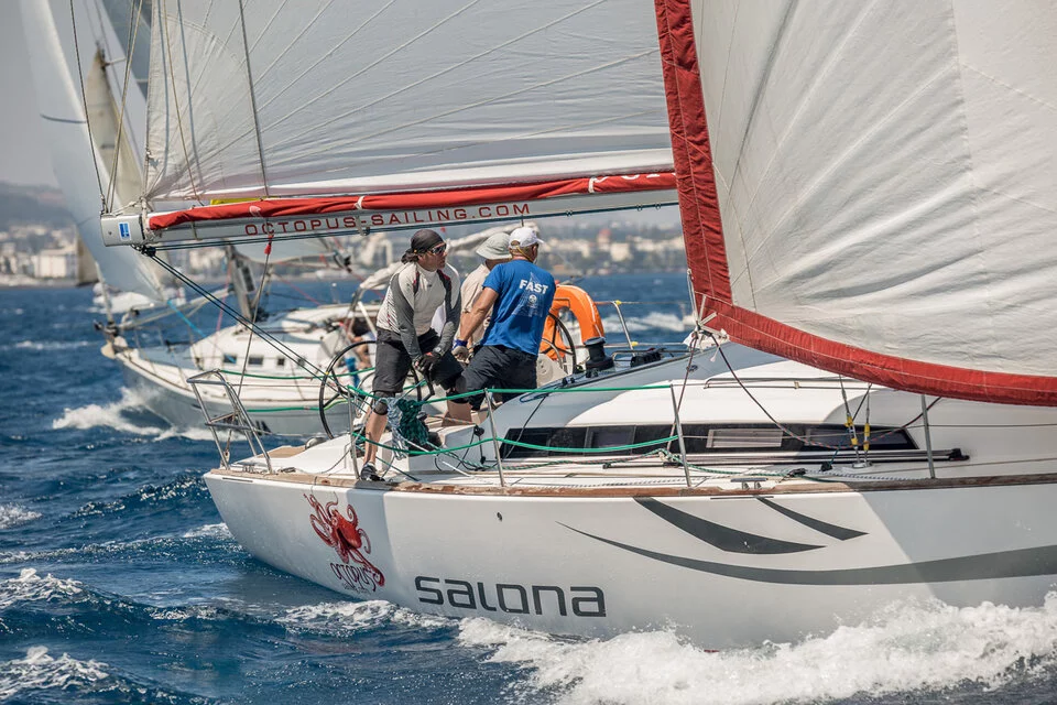 Salona 41 (White Butterfly)  - 3