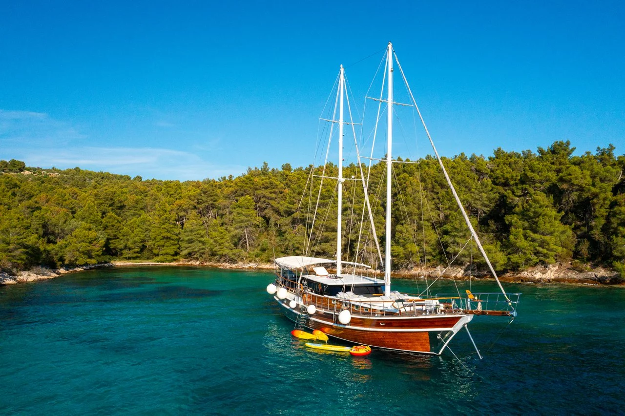 M/S Allure (Allure)  - 4