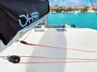 Sea-Tribe DH550 — photo 12