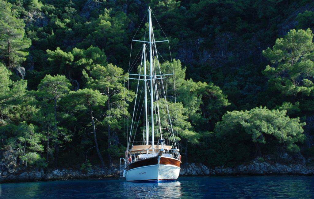 Photo #2 - Be Happy (Be Happy) en Bodrum - 63717