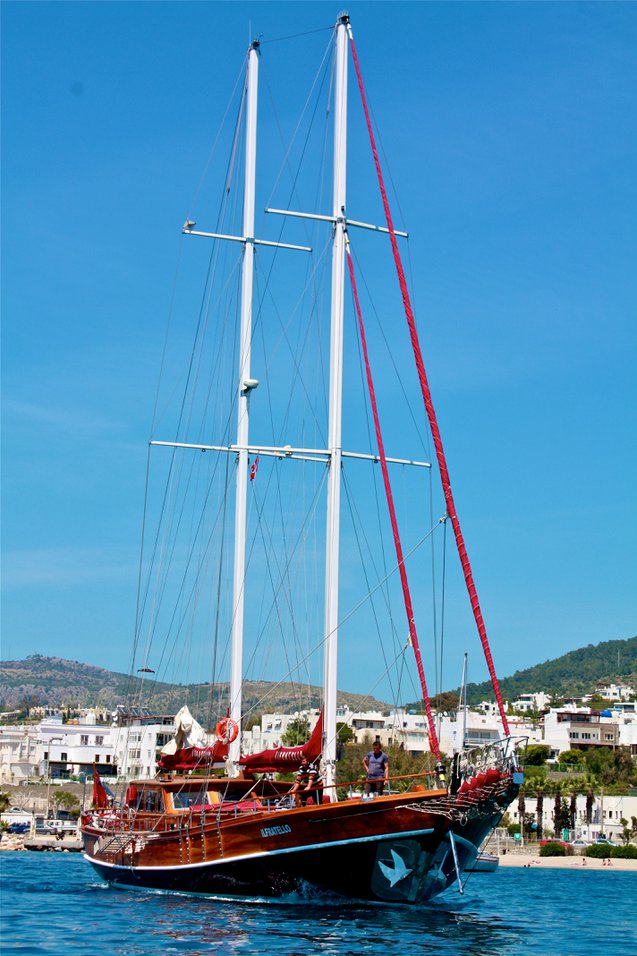 Photo #4 - Il Fratello (Il Fratello) en Bodrum - 63731