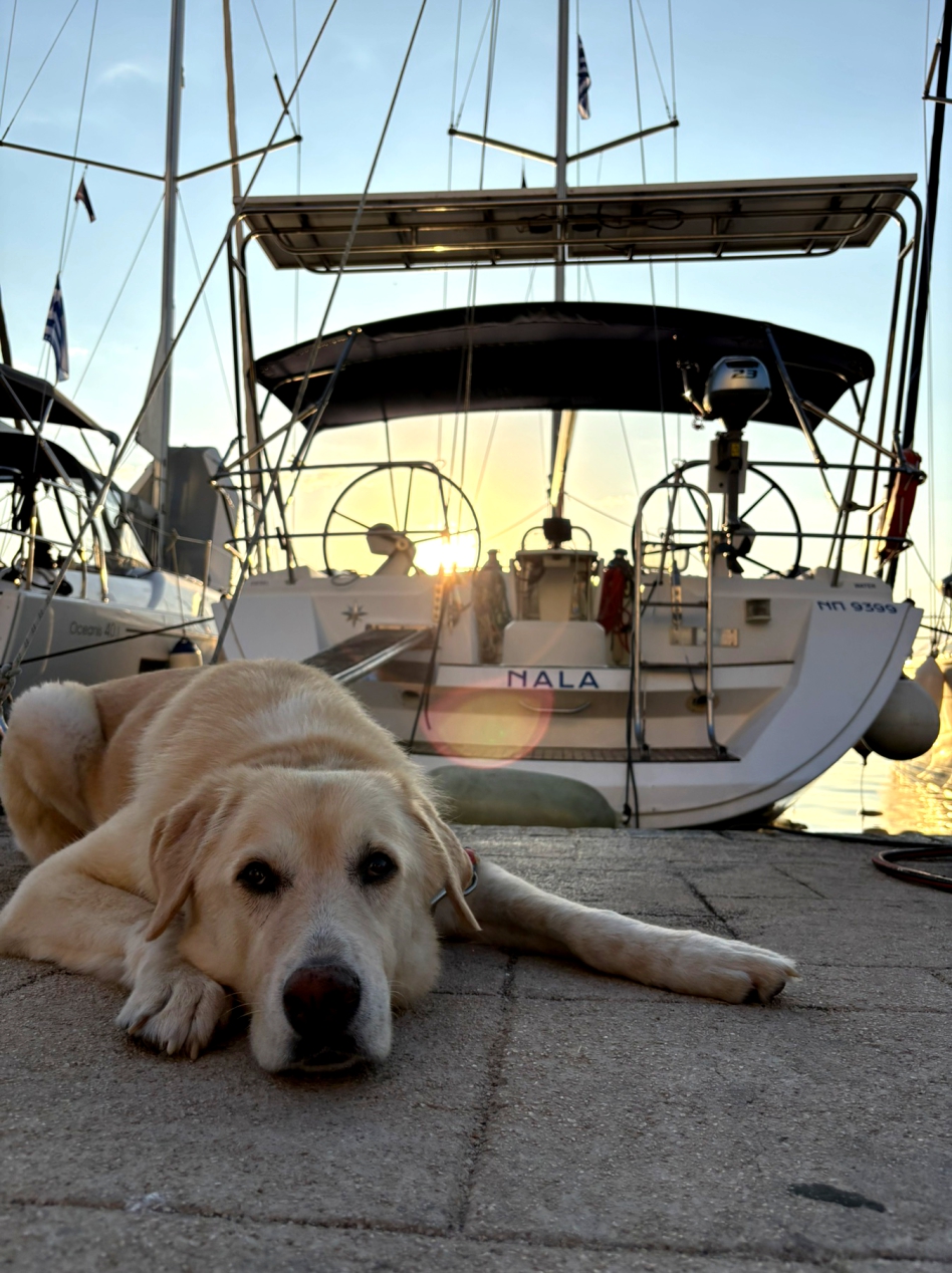 Sun Odyssey 45 — photo 1