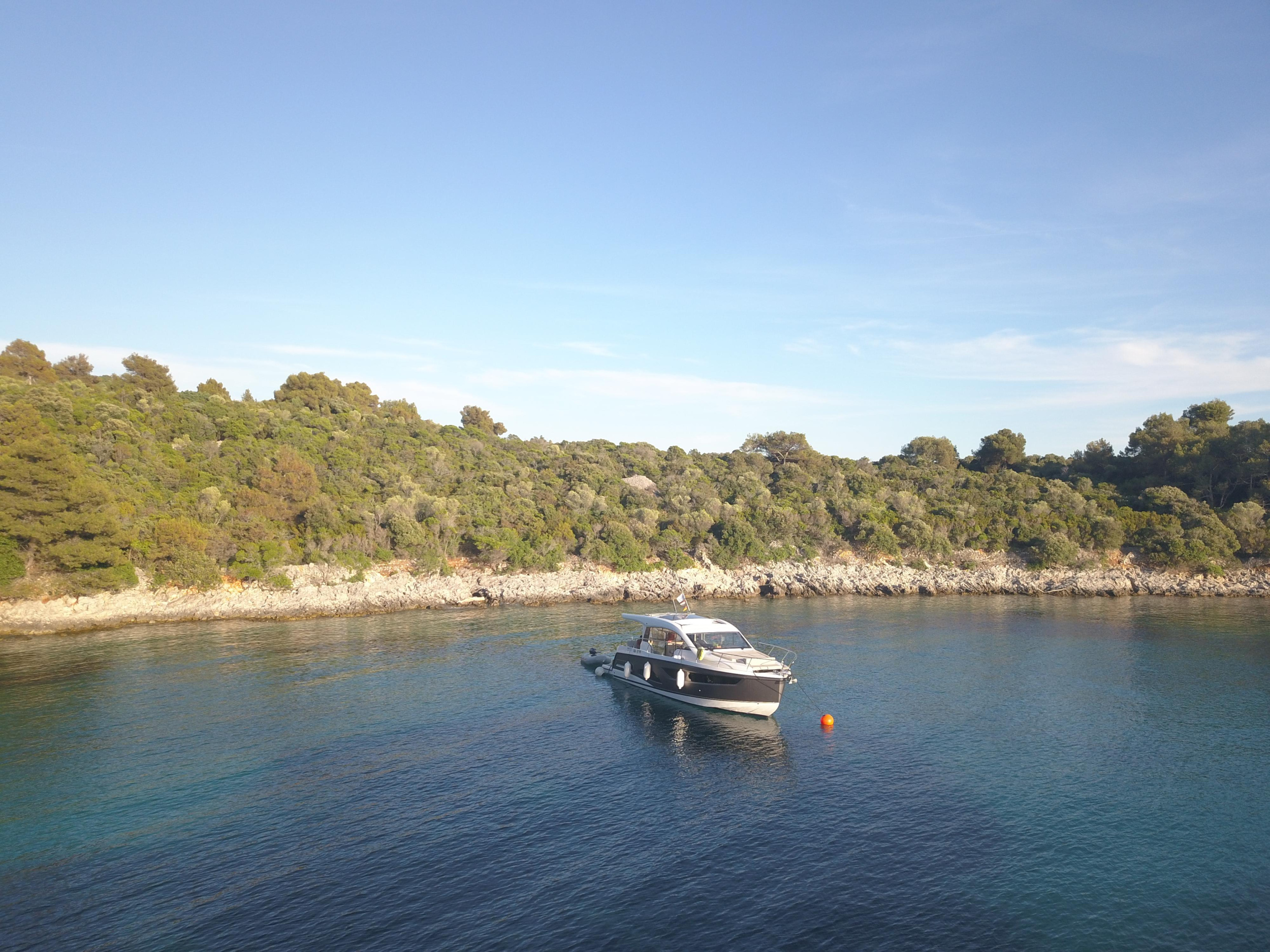 Sealine C390 — photo 6