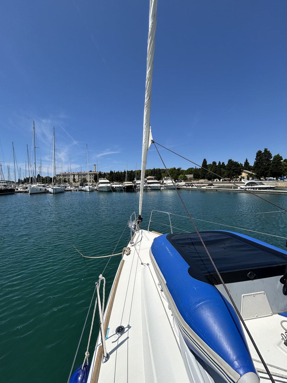 Sun Odyssey 349 - 3 cab. — photo 7