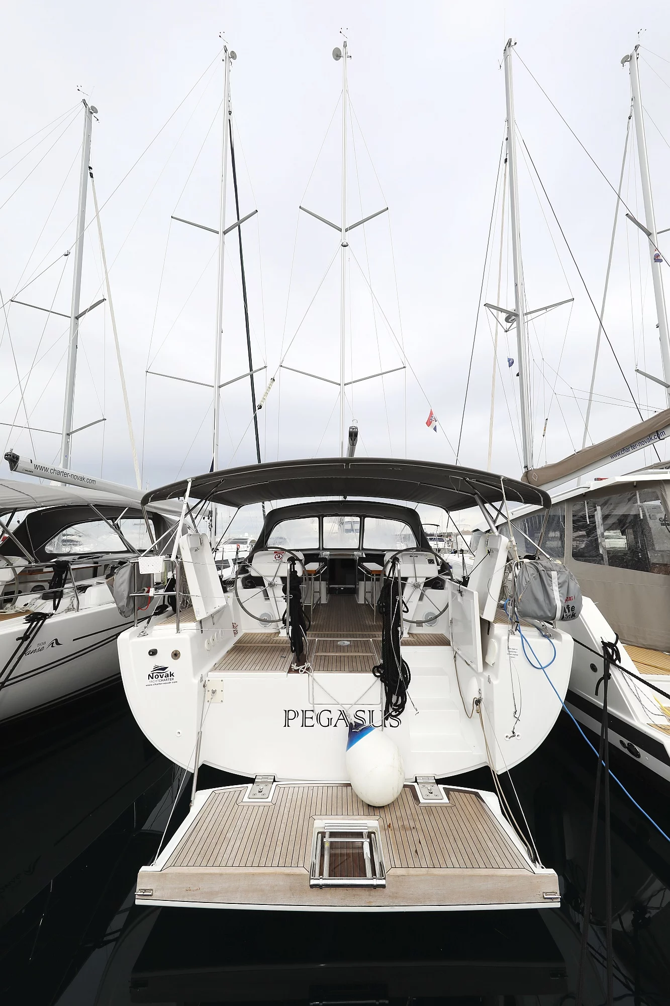 Hanse 508 - 5 + 1 cab. (Pegasus)  - 2
