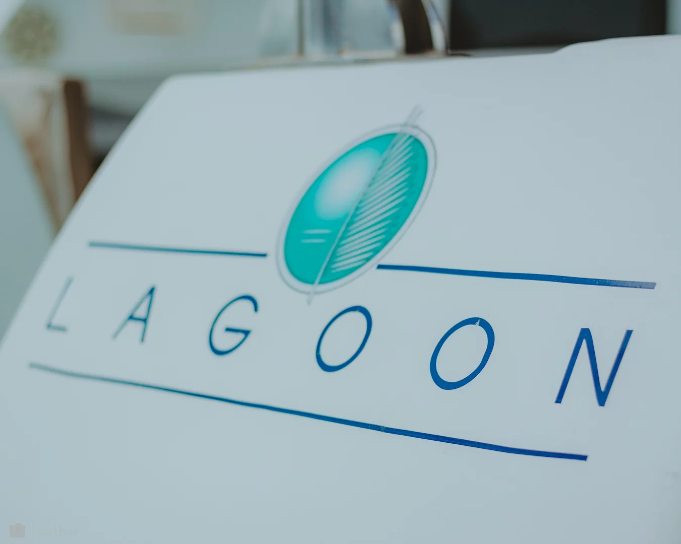 Lagoon 420 - 6 cab. (Dynamis)  - 15