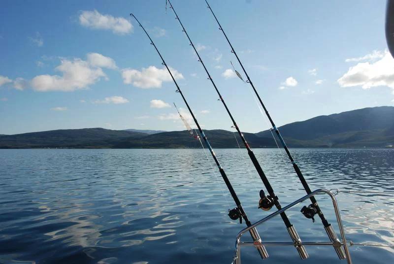 Lagoon 450 - 4 cab. (Arctic Princess)  - 6
