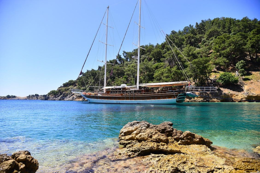 Deniz Felix Balina - 1