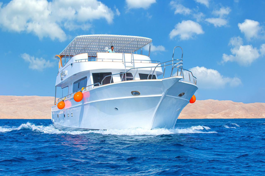 Wafaa - 1
