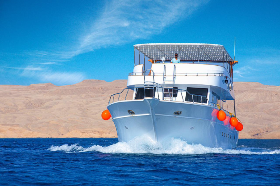 Wafaa - 2