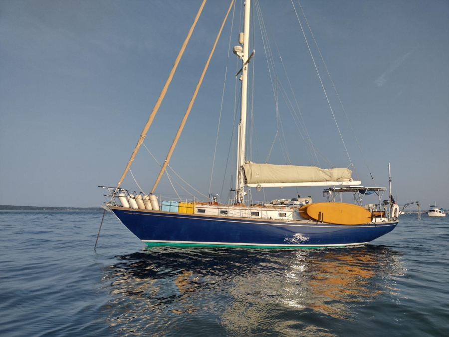 Photo #1 - Mason (Moxie) in Abacos - 3102