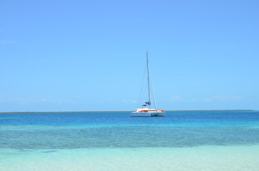 Sand Star - 2