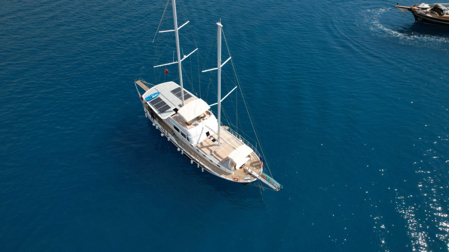 Lavinia - 2