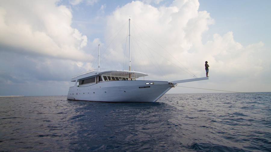 Photo #1 - Dhoni (Sea Farer) in port - 3417