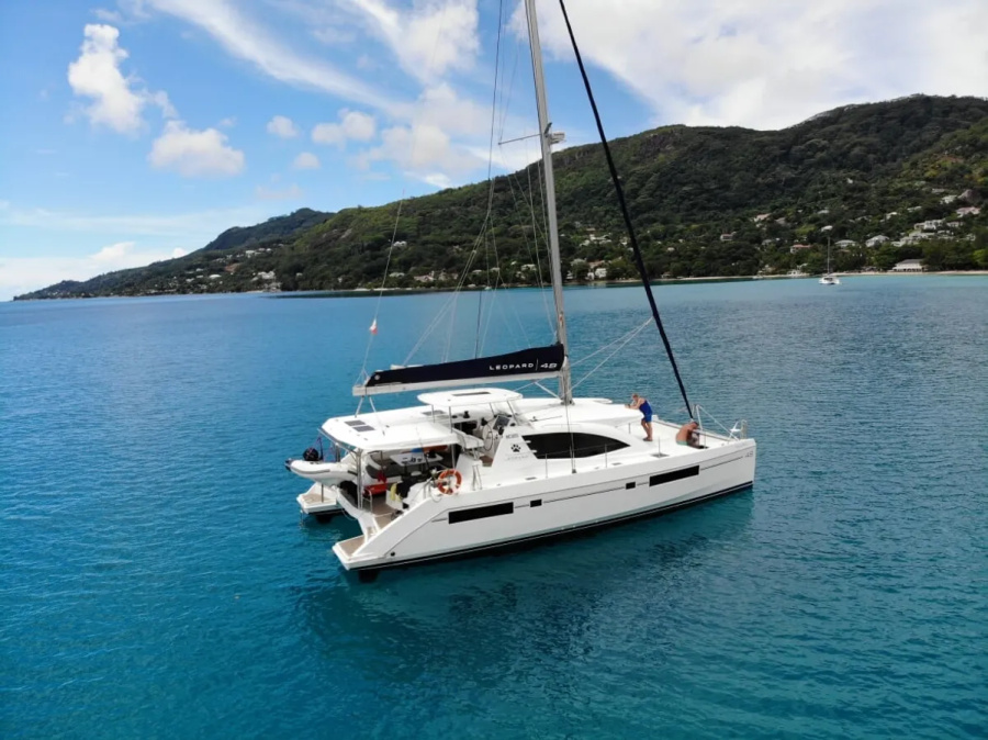 Black Swan Catamaran - 1