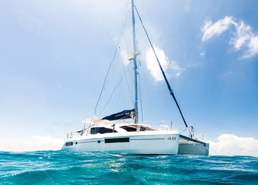Black Swan Catamaran - 2