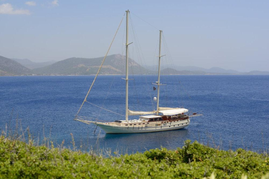 Photo #1 - Liberte 11 (Liberte 11) in  - 3490