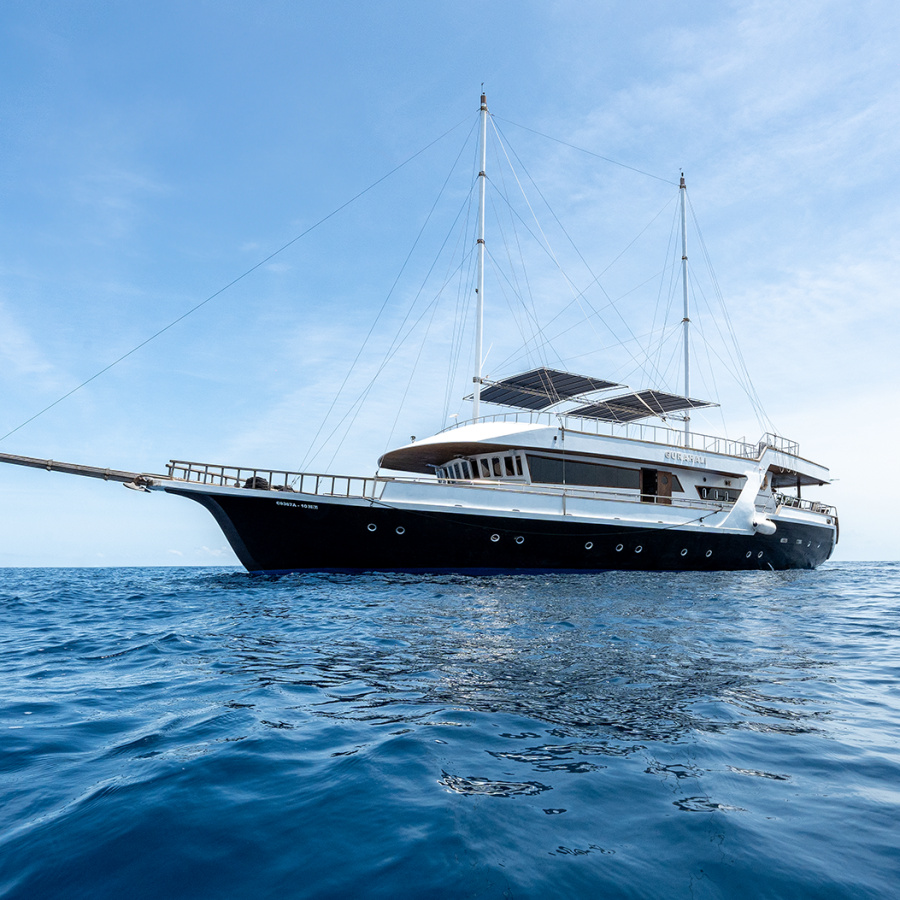 Photo #1 - Custom built (Gurahali) en port - 66224