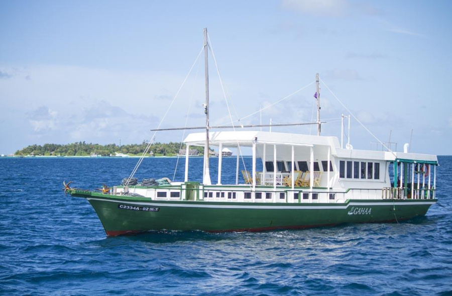 Photo #1 - Custom built (Gahaa) in port - 66226