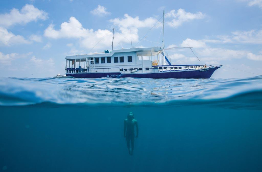 Photo #1 - Custom built (Gulfaam) in port - 66228