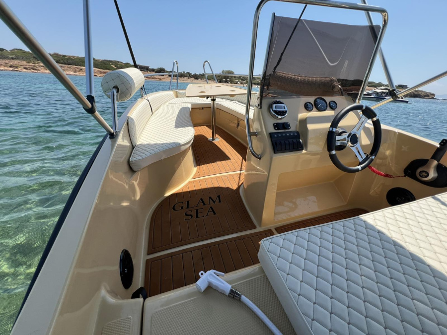 Cobra 495 - 0