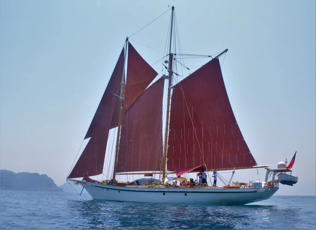 Schooner (Dallinghoo)  - 1
