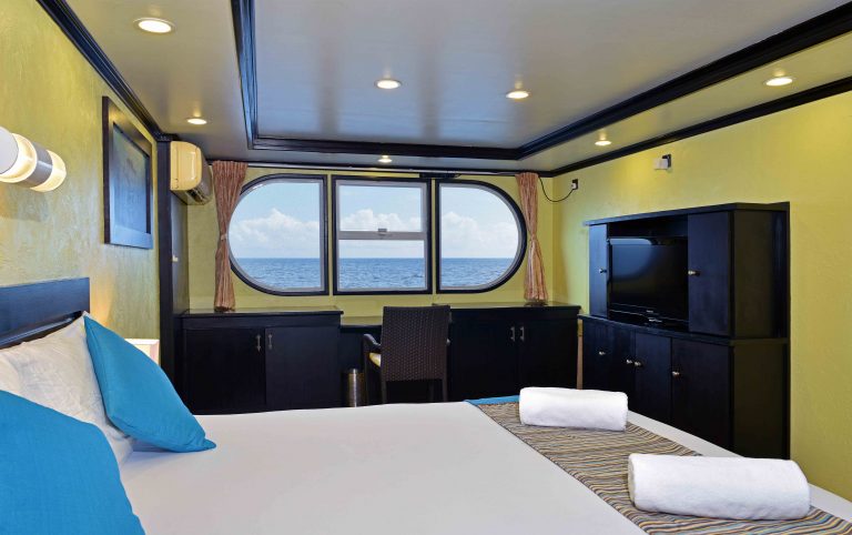 Photo #3 - Fibreglass (Horizon III) in Male - 2893