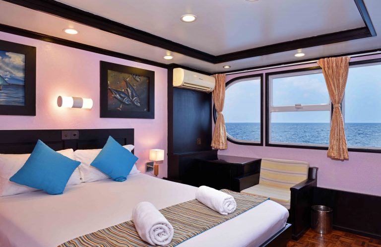 Photo #4 - Fibreglass (Horizon III) in Male - 2893