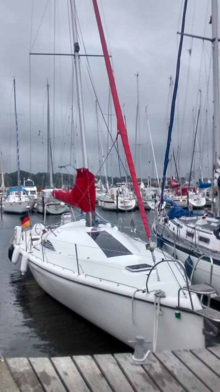 Twister 36 (Princess of North)  - 2