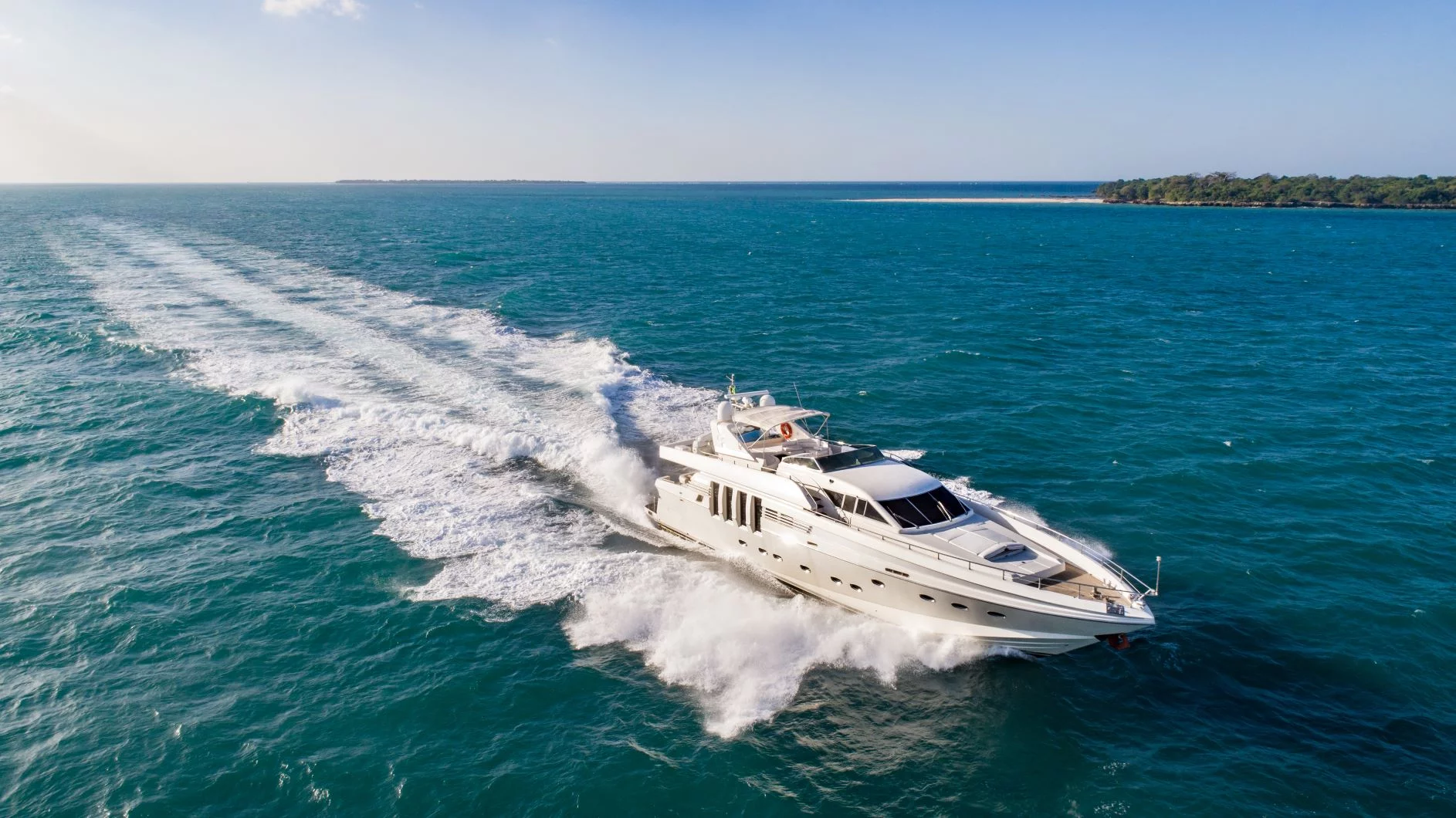 Techima82 (Sea Leopard)  - 3