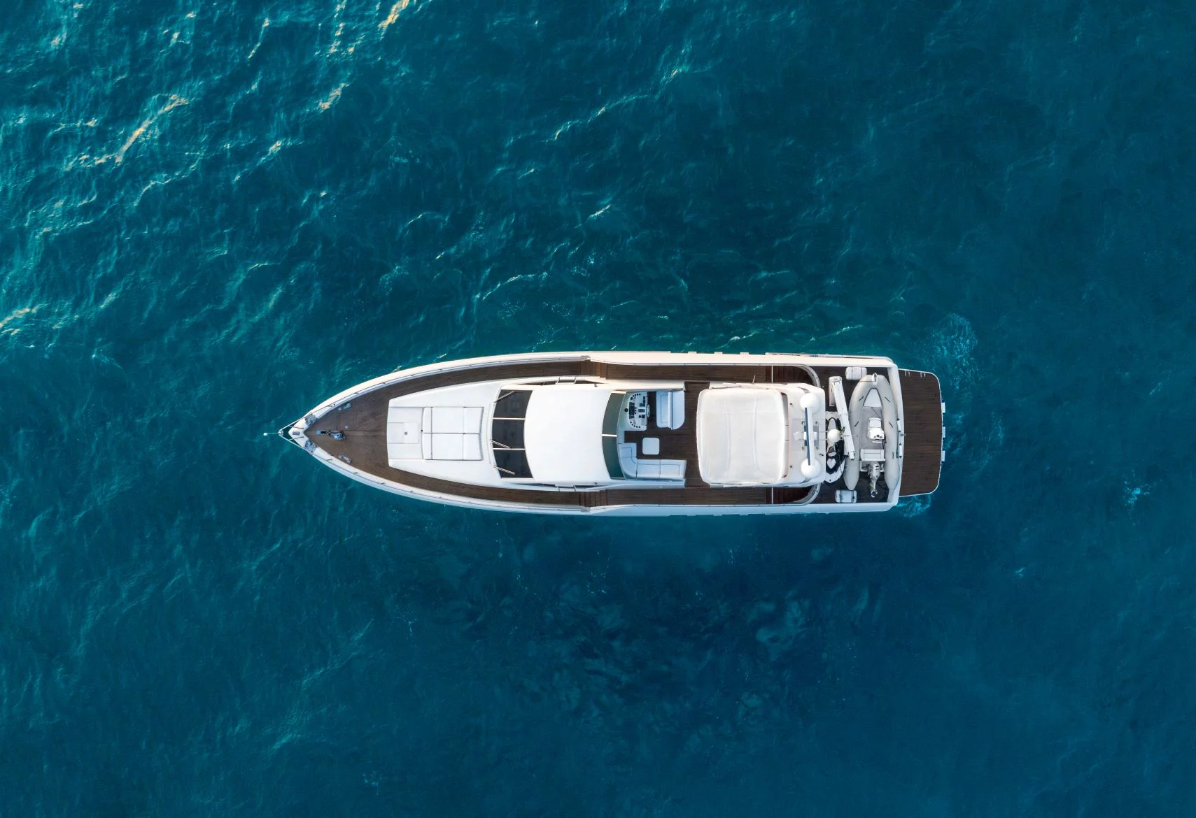 Techima82 (Sea Leopard)  - 4