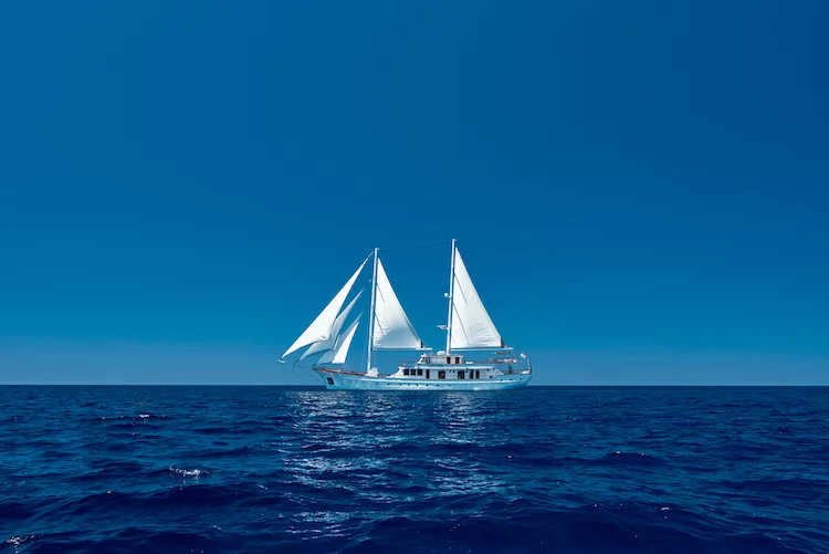 Small cruise ship (Corsario)  - 17