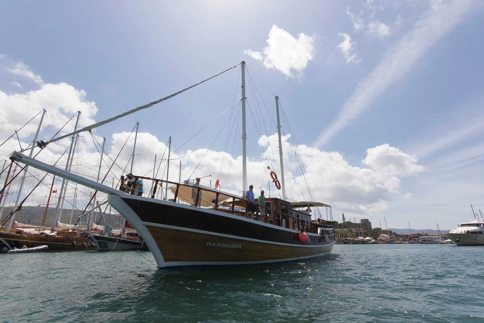 Custom (M/S Harmonia)  - 9