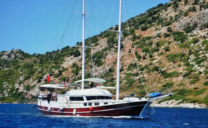 2004 (Esperanza)  - 0