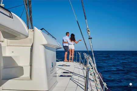 Lagoon 450 (Papillon de Tenerife)  - 3