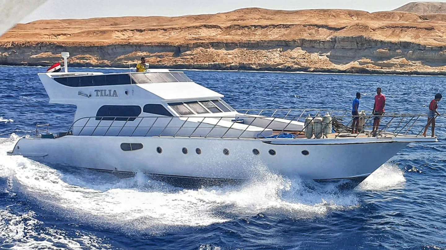 Power boat (Tilia)  - 6