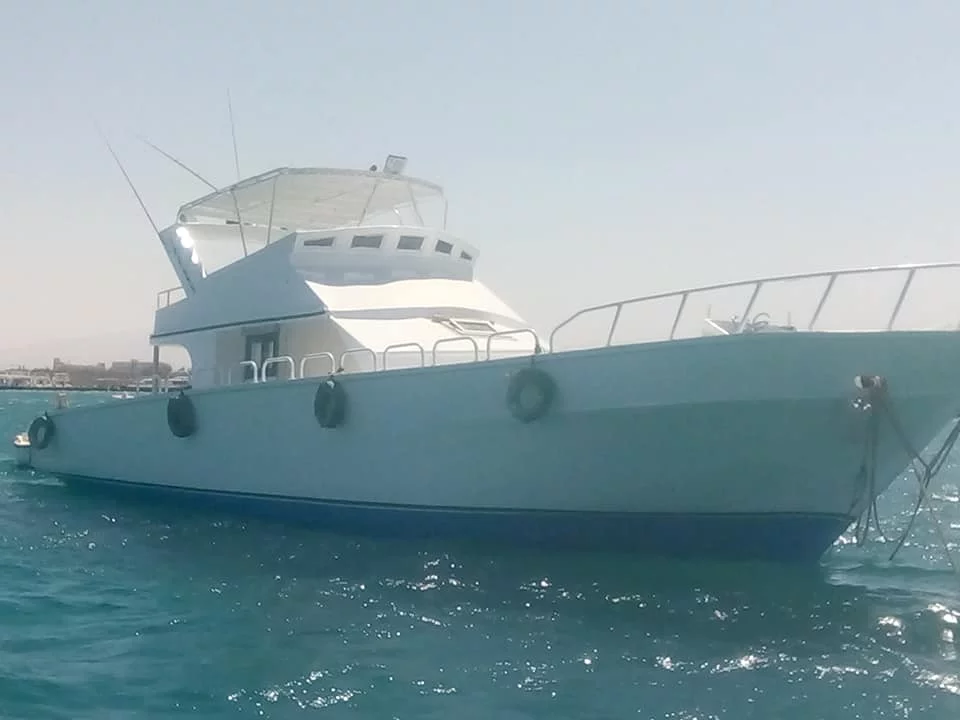 Power boat (Tulip)  - 0