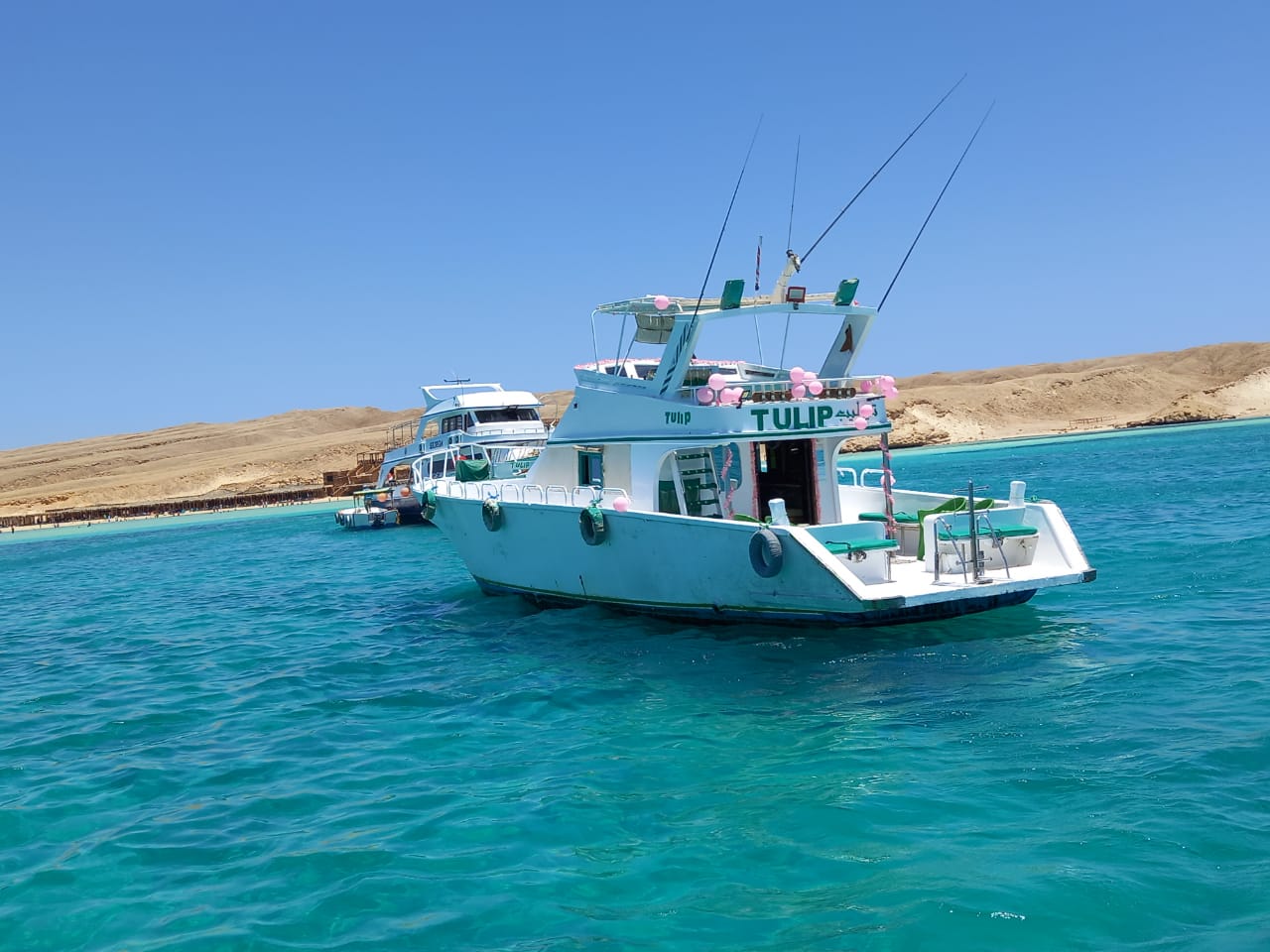 Photo #8 - Power boat (Tulip) en Hurghada - 3080