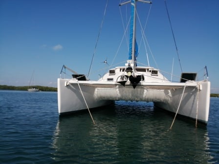 Photo #1 - Pro Kennex 445 (Nerea) in San Blas - 3085