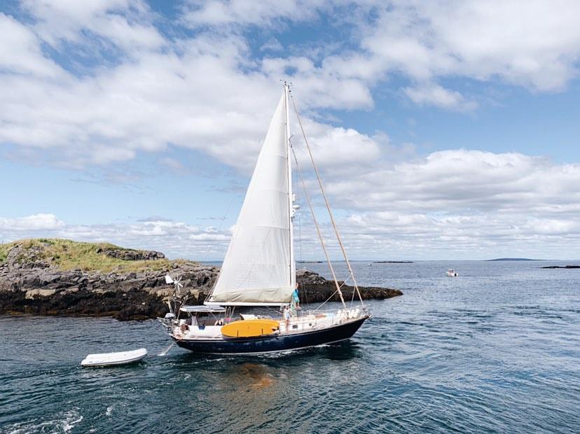 Photo #6 - Mason (Moxie) en Marsh Harbour - 3102