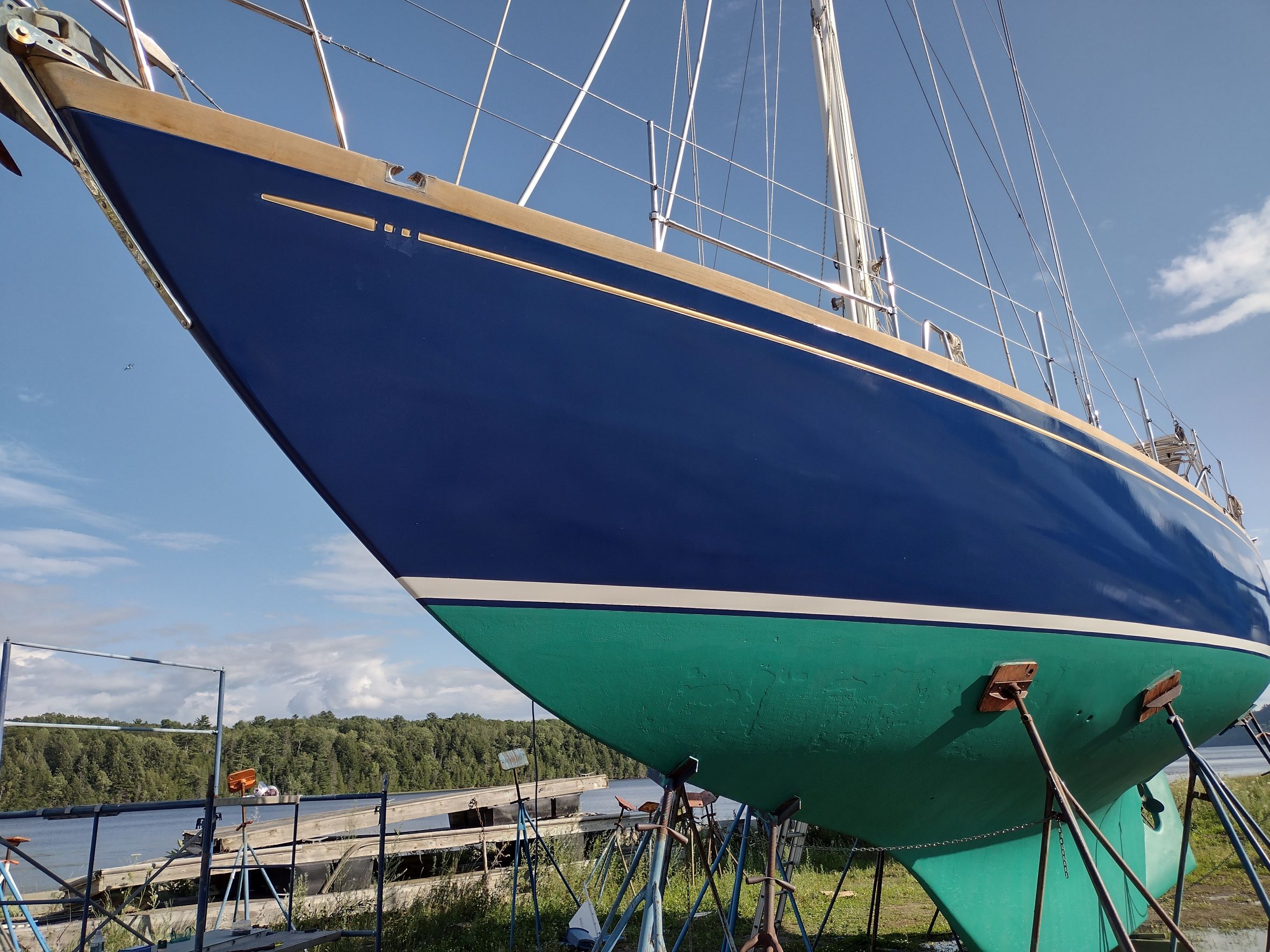 Photo #7 - Mason (Moxie) en Marsh Harbour - 3102