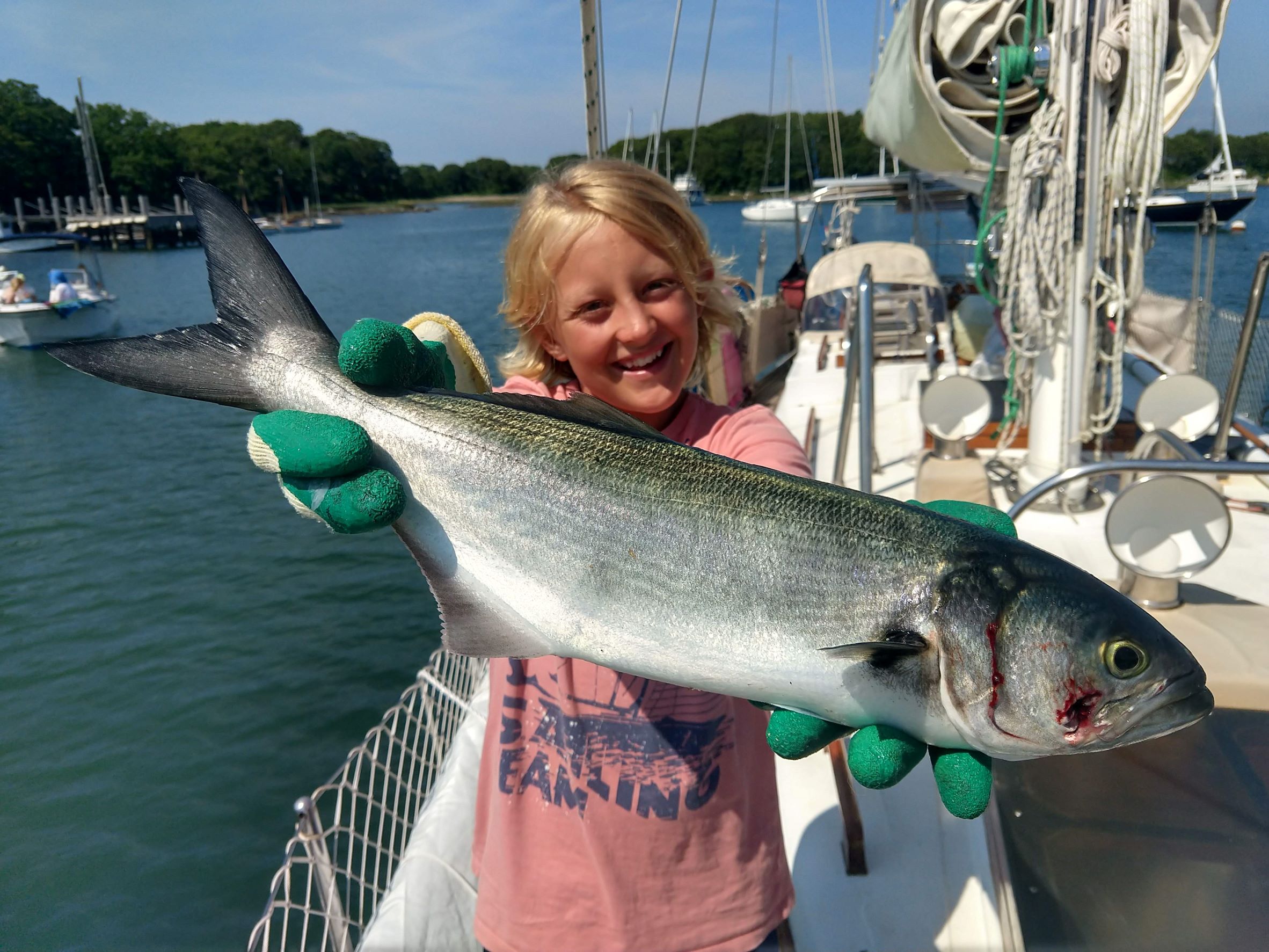 Photo #22 - Mason (Moxie) en Marsh Harbour - 3102