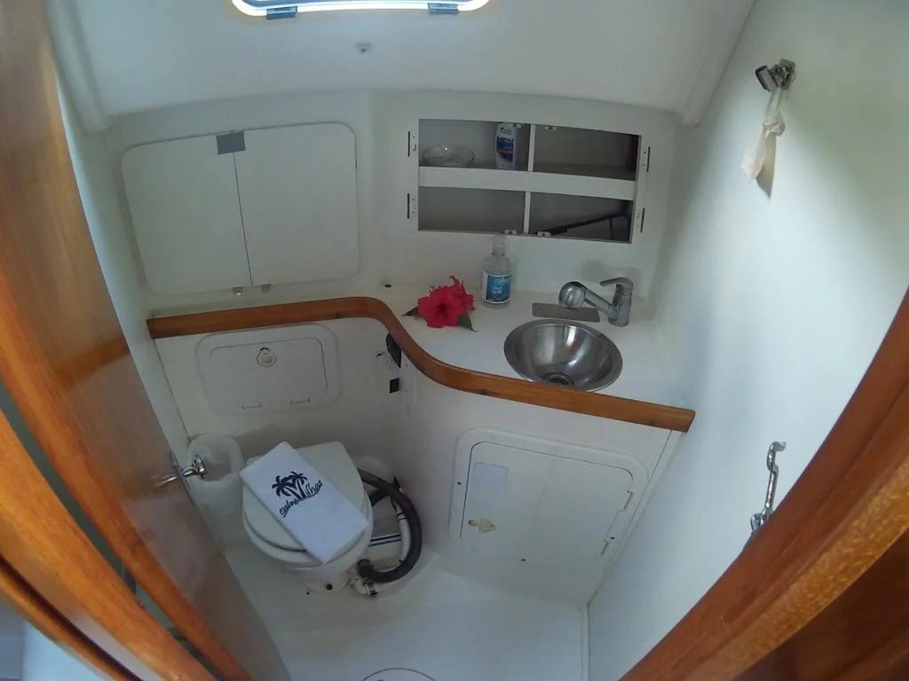 Delta 36 (LAFITTE)  - 11