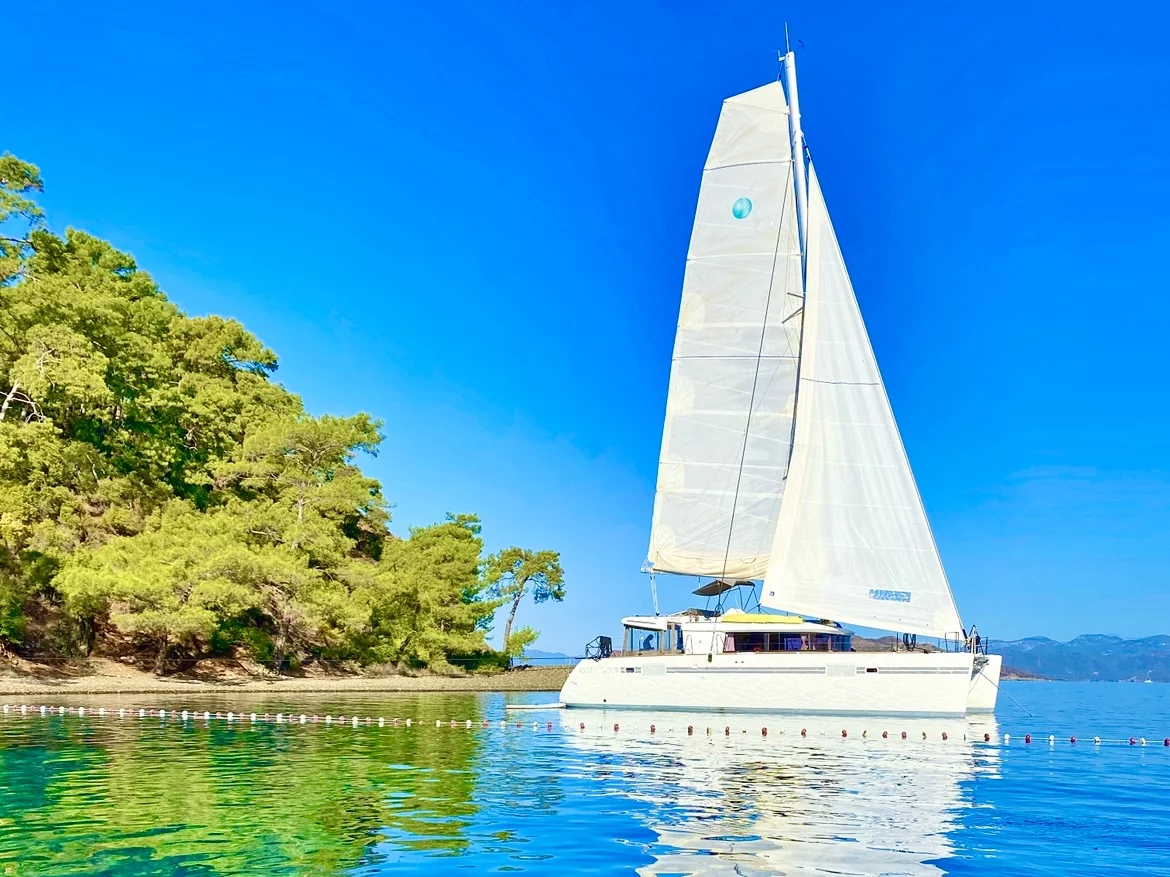 Lagoon 450F (Dolce Vita Ela)  - 0