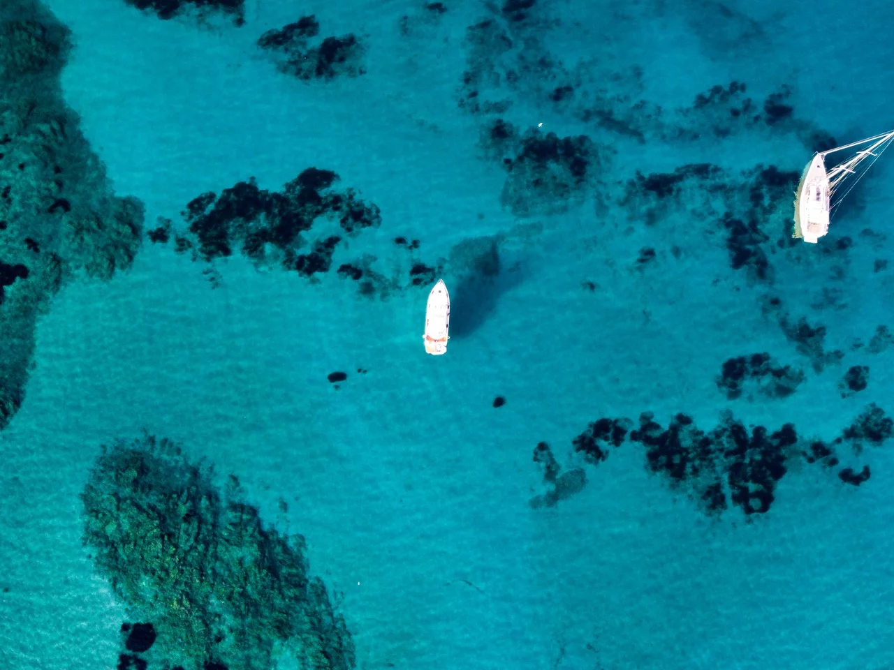 Alpa Yachts 42 Fly (KORAL)  - 57