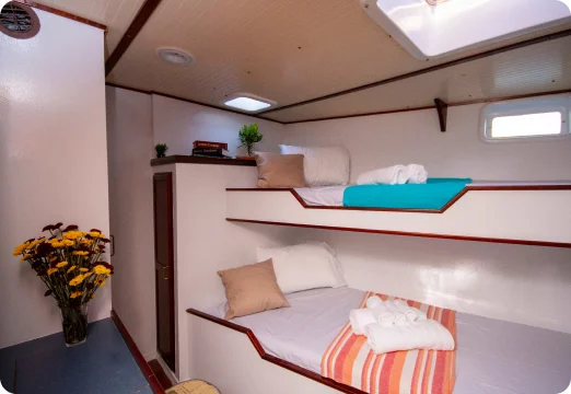 Custom Made (Schooner Laurie Anne)  - 10